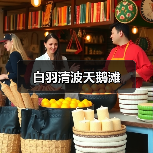 白羽清波天鹅滩（图1）