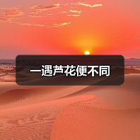 一遇芦花便不同（图2）