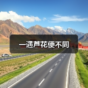 一遇芦花便不同（图1）