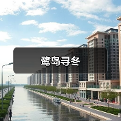 鹭岛寻冬（图1）