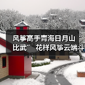 风筝高手青海日月山“比武” 花样风筝云端斗艳（图4）