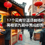 17个云南非遗项目精彩亮相第九届中国成都国际非遗节（图3）