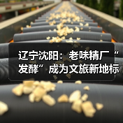 辽宁沈阳：老味精厂“发酵”成为文旅新地标（图4）